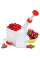 Машинка для видалення кісточок Helfer Hoff Cherry and Olive Corer
