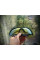 Окуляри антивідблиску TAC GLASSES
